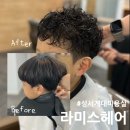 라미스헤어계대 이미지