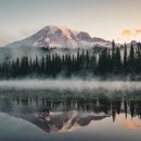 자연의 꿈 이미지