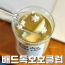 배드독 | 배드독호호클럽 판나코타 선물 포장 &amp; 추천메뉴 &amp; 방문 주의사항