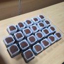 샤인하우스 가동 | [2025년 12월] good goodbye