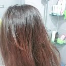 향기좋은샴푸 커리쉴 모이스처 카밍 샴푸 푸석한머리에 수분공급!