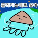 모항레저타운 이미지