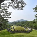 대왕청과 이미지