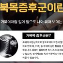 목동기운찬마취통증의학과의원 이미지