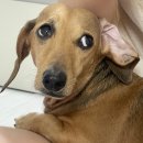 이마트24플렉스점 이미지