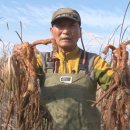 신동아식품 이미지