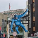 뿅뿅김밥 | 미국 3일차｜LA 유니버셜 스튜디오 할리우드 · 그리피스 천문대 · 북창동 순두부