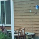 안녕 멈머야 이미지