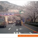 (주)다녀봄 이미지