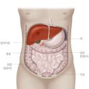 간 안좋을때 나타나는 대표 5가지 : 간경화 간암 초기? 이미지