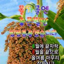 ＜08,11.주일오후예배설교＞ 내가 여기 있나이다. 이미지