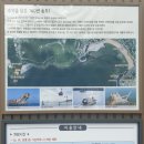 꽃분이네차와커피