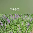 충숙근린공원