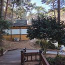 황토방 | 태안안면도자연휴양림, 황토방 숙박후기