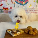 포퍼피(FOR PUPPY) 이미지