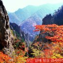 금수강산 이미지