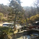 안성맞춤한우촌 이미지