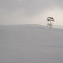 광령축산
