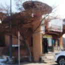 무수길-1 이미지