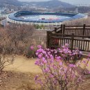 4월3일(월) 부천원미산 진달래꽃, 봄소풍갑니다~(물방울 대장) 이미지