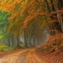 광교미소모아내과의원 이미지