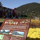 여수중앙초등학교 이미지