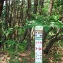 암곡 | 십이폭을 찾아가다.. 전북 진안/충남 금산 성치산-십이폭포골 산행기록