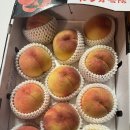 어물농장 | 김포 고촌치과 고촌 임플란트 고촌 소나무치과 환자분의 감사한 복숭아 선물(골다공증 임플란트 수술 후기)