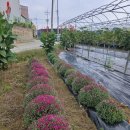 인영농장 이미지