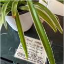 스타일 피트니스 이미지