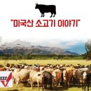 농업회사법인 유푸드 주식회사 이미지