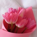 만사 경로당 이미지