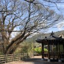 홍티마을회관 이미지