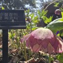 구찌 이미지
