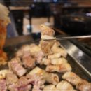 조아조아고기조아 이미지