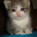 아침못농장 이미지