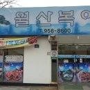 월산복어 이미지