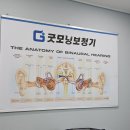 영생약국 | 담양 순창 나주 보청기 전문업체 추천