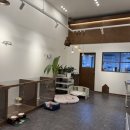 슈블리펫살롱 이미지