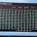 희망드림 행정사사무소 이미지