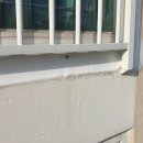 강남서로1 이미지