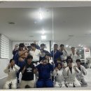 용인대스포츠클럽(용인대유도관) 이미지