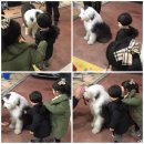 남매 일상,놀이,외출샷 모음 ^^