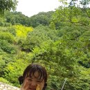 사지목 나무그늘 이미지