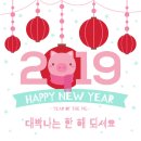 알비티레인보우 투어 이미지