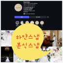 에스비파워 | 본식스냅 어두운홀 가성비있는 하얀스냅 추천, 할인 정보