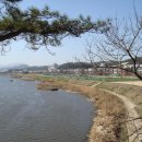 십리대밭 축구장 이미지