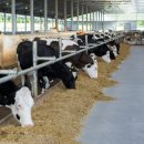 정직한축산 이미지