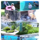 맑은산장농원 이미지