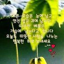 타이어명가티스테이션